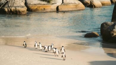 cluster data analysis metrics