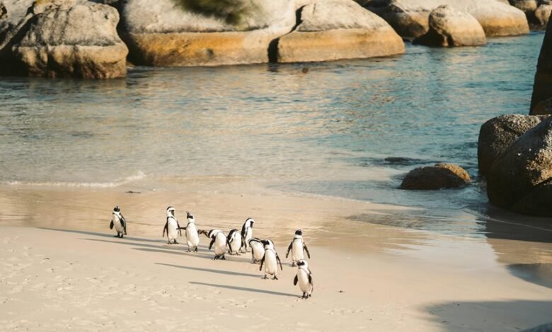 cluster data analysis metrics