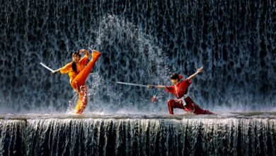 cohort performance index values