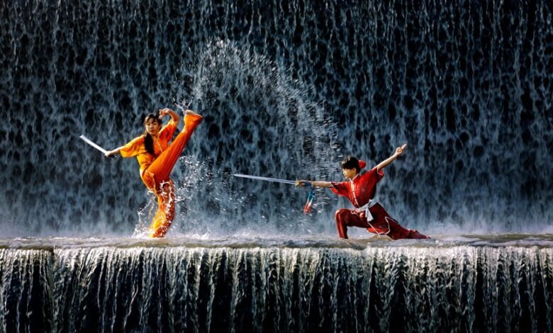 cohort performance index values