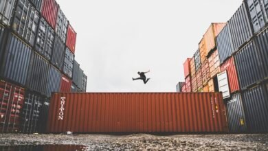 distribution balance summary revealed