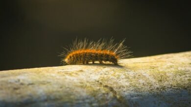 enterprise trend analysis logs