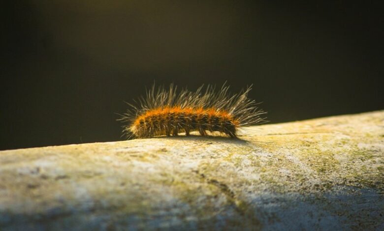 enterprise trend analysis logs