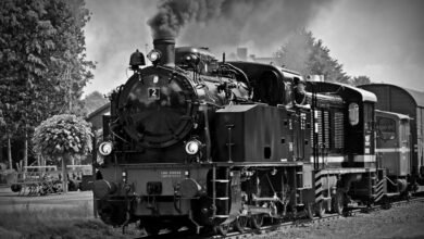 industry momentum analysis numbers