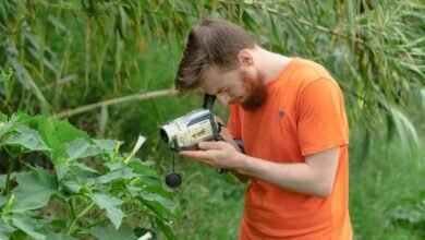 sector growth data analysis