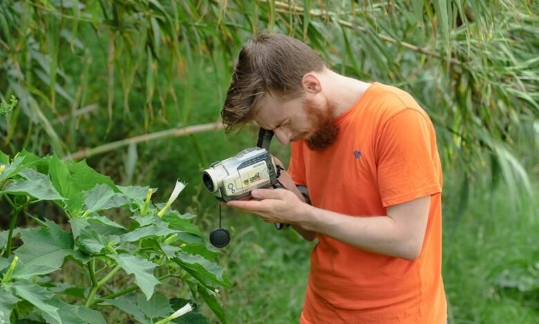 sector growth data analysis