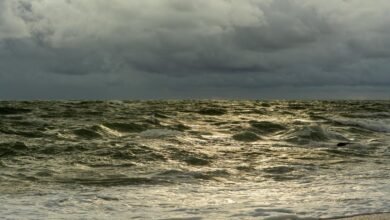 horizon surge strategy pathway