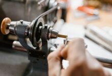 cletarus mechanism and significance
