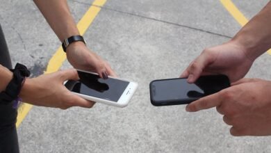 top benefits of phone number