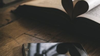 understanding 2504487407 significance