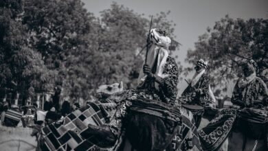 what makes babaijabeu important today